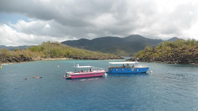 Iles pigeon. reserve cousteau. guadeloupe