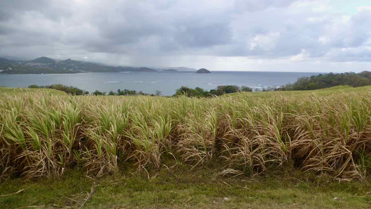 Presqu’e île de la Caravelle