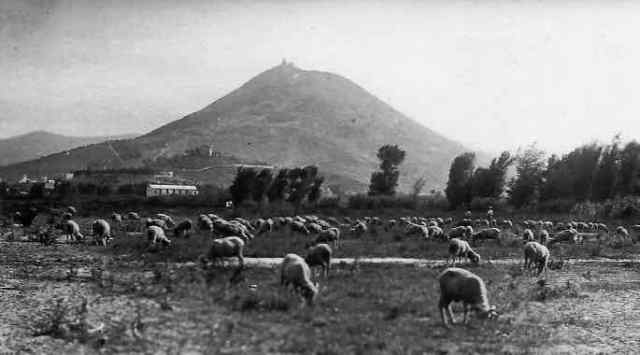 Tuo montcada inicis XX