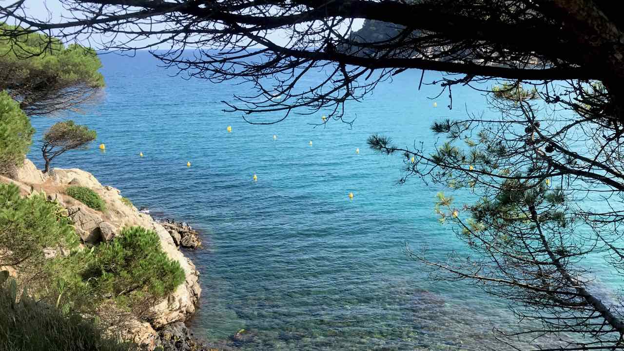 Costa Brava. Palamos