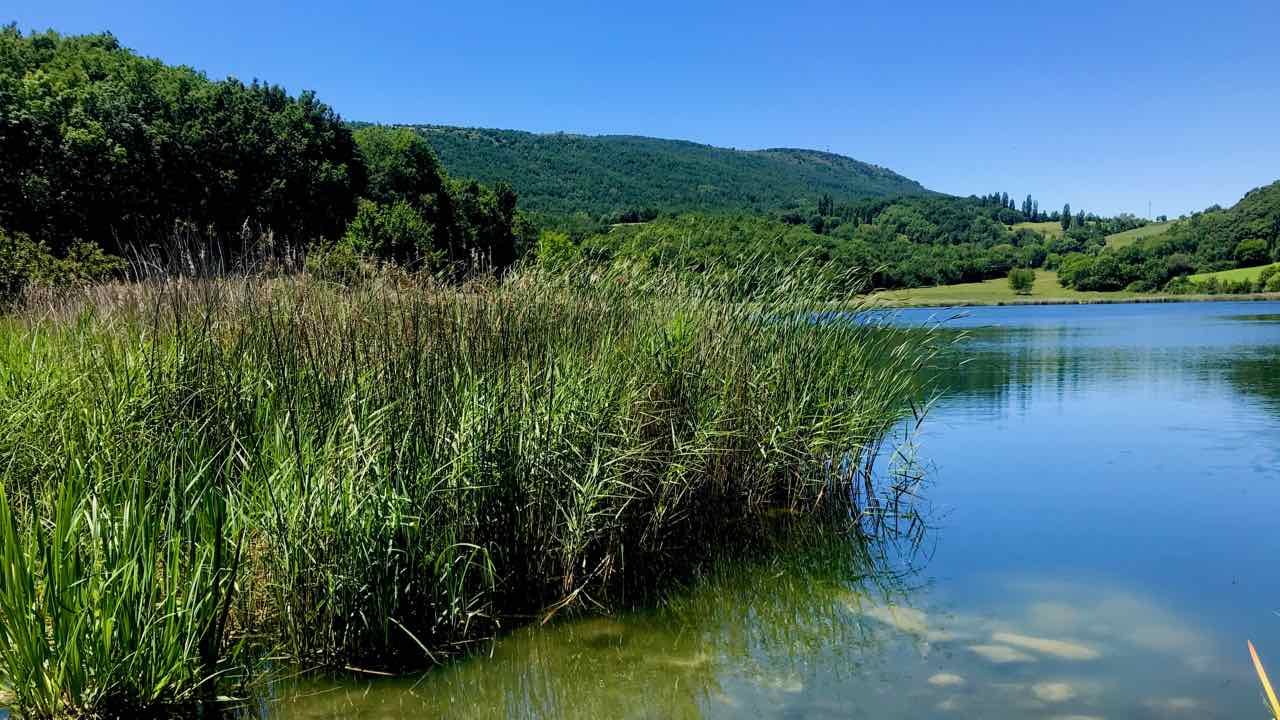 Estany Montcortès