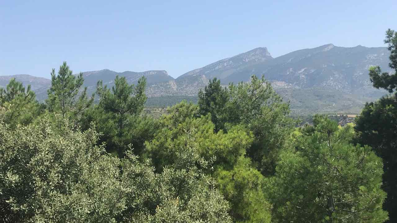 Gallinova-Roca Monteguida